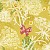 Wild Blossoms