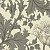 Ebony Suite, Best of William Morris