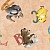 Animal Alphabet