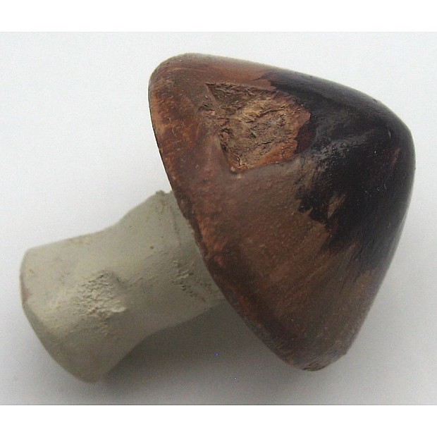 Steinpilz 18 x 20 mm