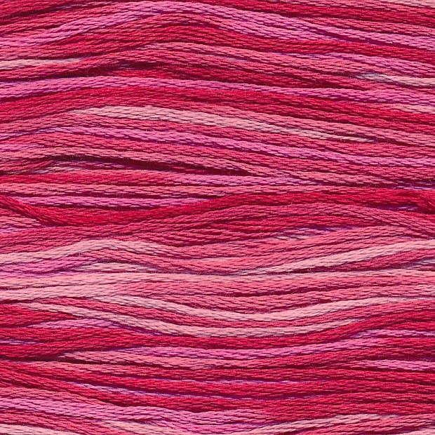 Cosmo 80 Seasons 100% cotton 8m 5002
