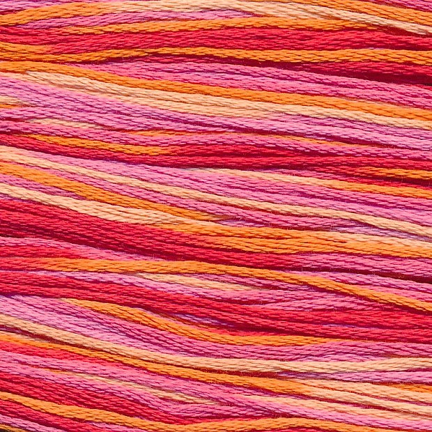 Cosmo 80 Seasons 100% cotton 8m 5003