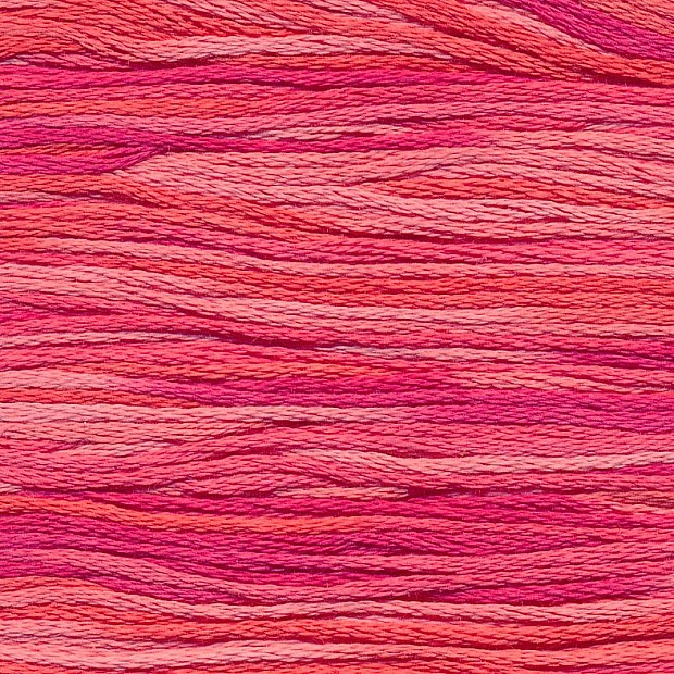 Cosmo 80 Seasons 100% cotton 8m 5004