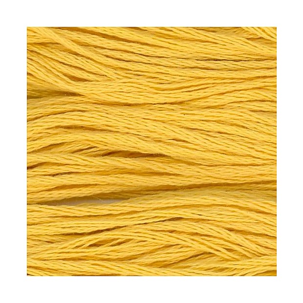 Cosmo 25 Embroidery 100% cotton 8m 701