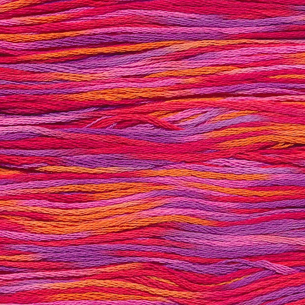 Cosmo 80 Seasons 100% cotton 8m 9018