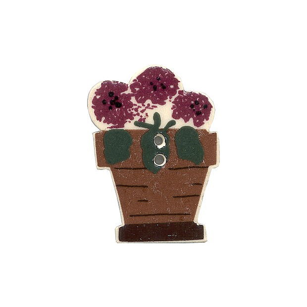 Potted Geranium