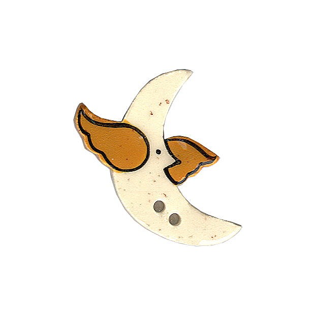 Flying Moon