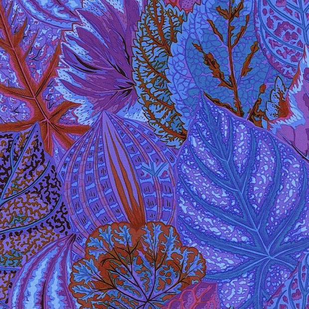 Coleus