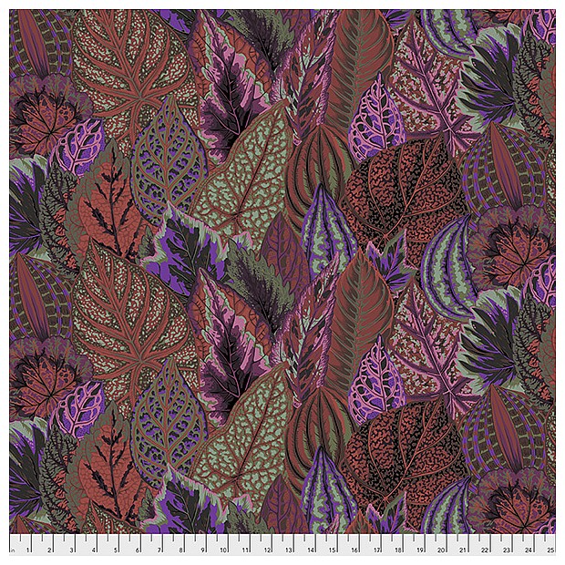Coleus