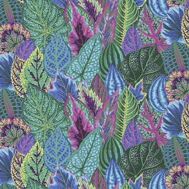 Coleus