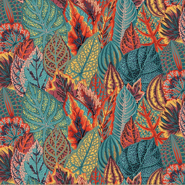 Coleus