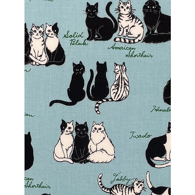 Cats