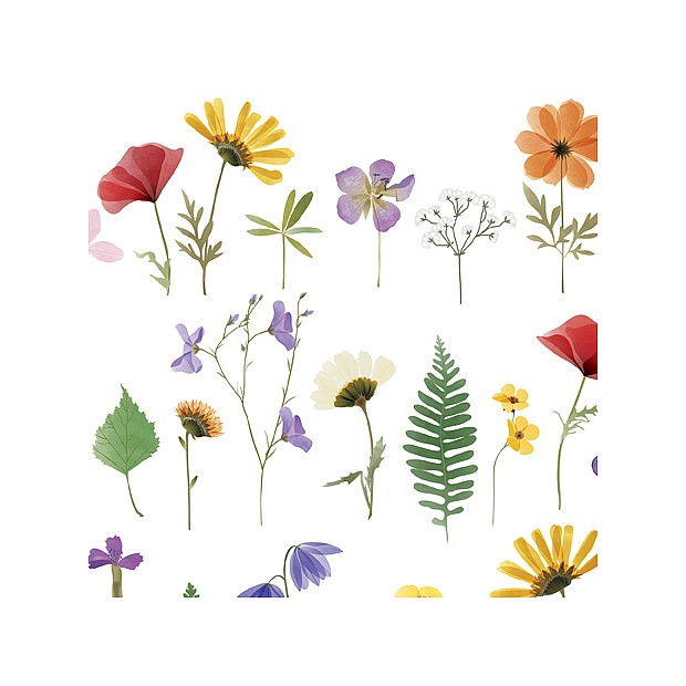 Wildflowers