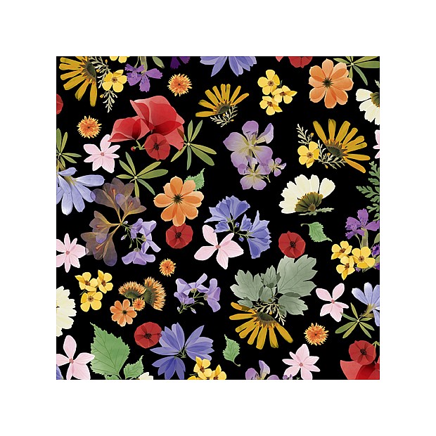 Wildflowers