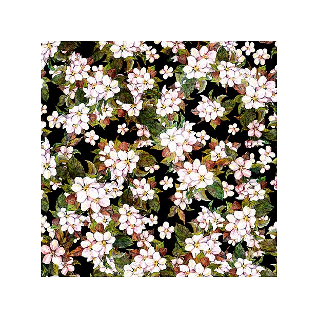 Blossom