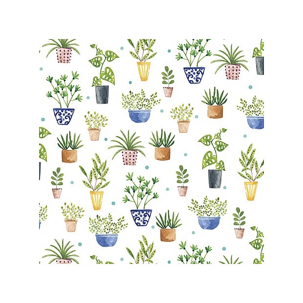 Frogs & Fronds
