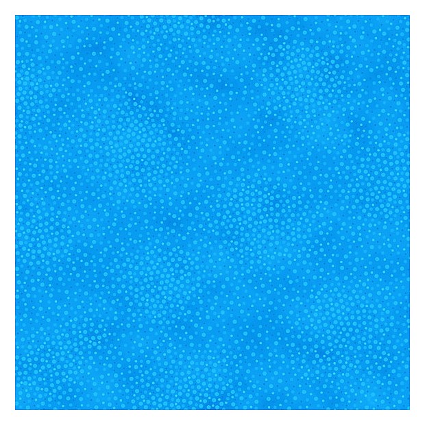 Spotsy