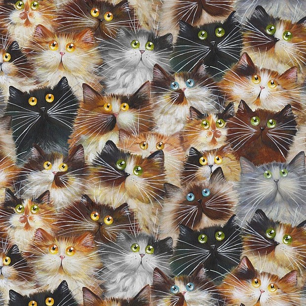Cat Pack, Quilt Back 274 cm (108'')
