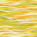 Cosmo 80 Seasons 100% cotton 8m 9004