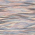 Cosmo 80 Seasons 100% cotton 8m 9011