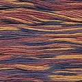 Cosmo 80 Seasons 100% cotton 8m 9013