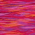 Cosmo 80 Seasons 100% cotton 8m 9018