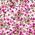 Bloom On!