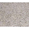 Ketan Batik Mixer