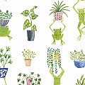 Frogs & Fronds