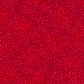 Spotsy 274 cm (108'') wide