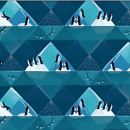 Polar Seas