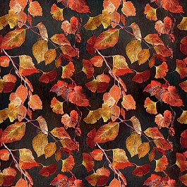 Reflections of Autumn 2