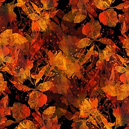 Reflections of Autumn 2