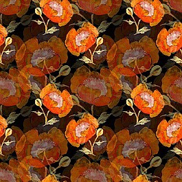 Reflections of Autumn 2
