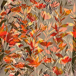 Reflections of Autumn 2