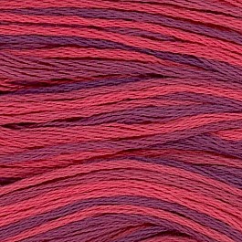 Cosmo 80 Seasons 100% cotton 8m 8062