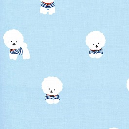 Bichon Frise