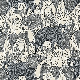 Woodland Wonder