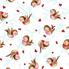 Gnome For the Holidays