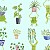 Frogs & Fronds