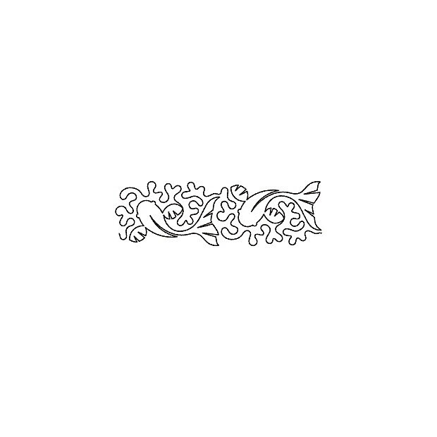 Swim Border 12.7 cm