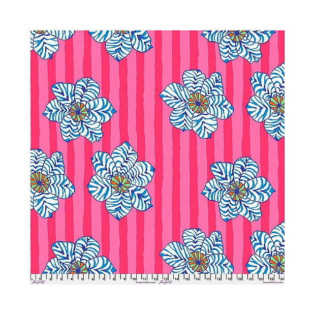 Zebra Lily