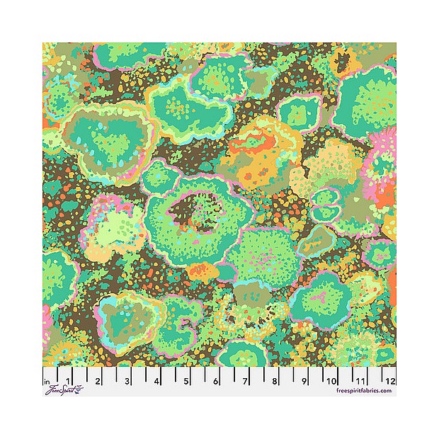 Lichen