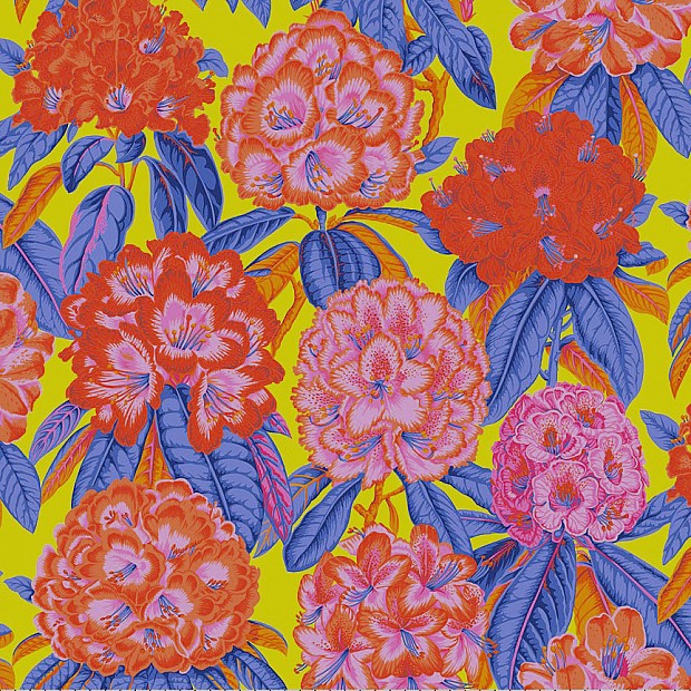 Rhododendrons