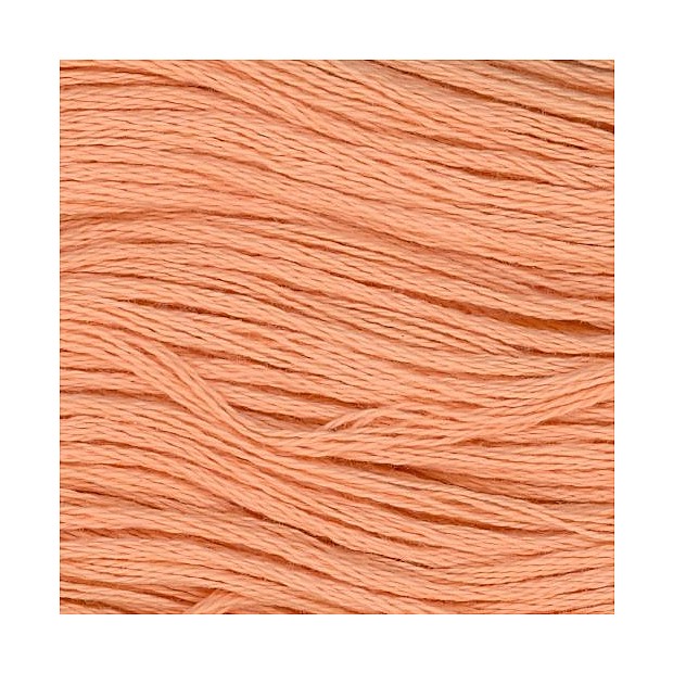 Cosmo 25 Embroidery 100% cotton 8m 2341