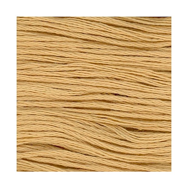 Cosmo 25 Embroidery 100% cotton 8m 307