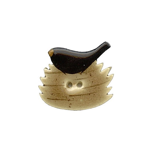 Crow in Nest