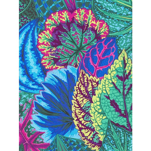 Coleus