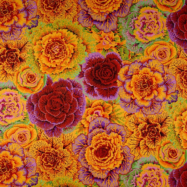Brassica