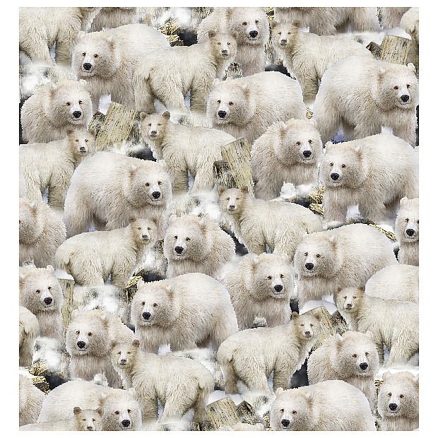 Arctic Dreams